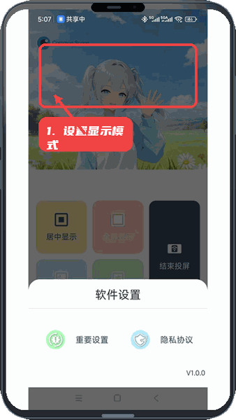 设置投屏显示模式。