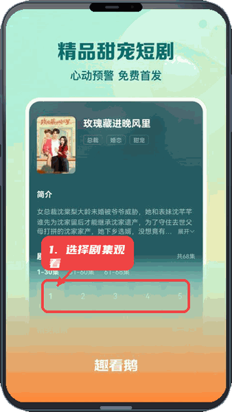 趣看鹅教程图:第五步,选择具体剧集观看。 选择具体剧集观看。