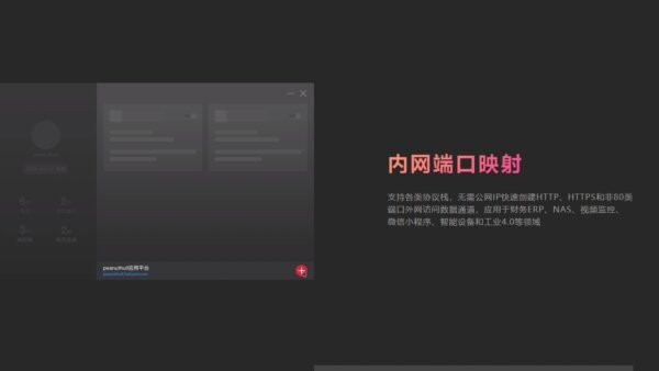 贝锐花生壳内网穿透 v9.4.0.1320 官方版 2
