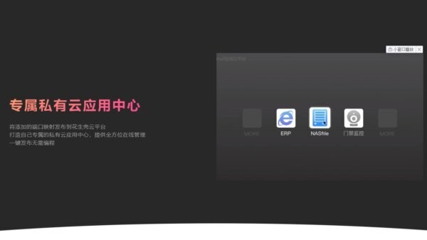 贝锐花生壳内网穿透 v9.4.0.1320 官方版 3