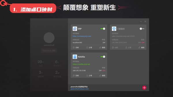 添加新的端口映射或应用。
