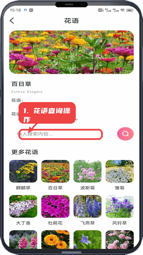 花语查询操作。
