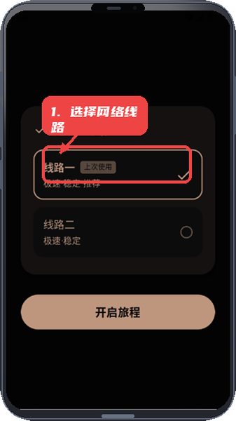 选择合适的网络线路。