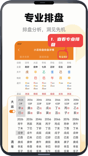 小巫排盘教程图:第二步,查看专业排盘详情。 查看专业排盘详情。