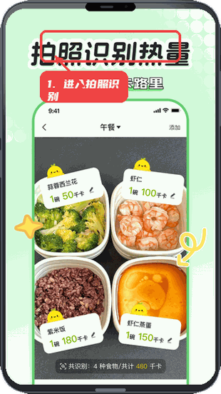 进入拍照识别页面。