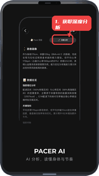 DIGRUN教程图:第三步,获取深度分析报告。 获取深度分析报告。