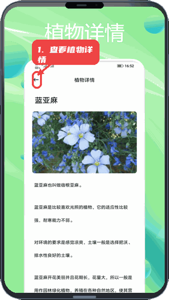 种花拾光教程图:第四步,查看植物详情。 查看植物详情。