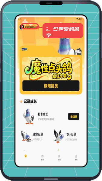神奇的鸽子教程图:第一步,设置爱鸽名字。 设置爱鸽名字。