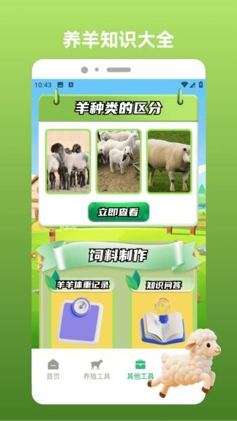 岁岁有金安红包最新版 v1.6 安卓版 2