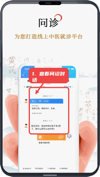 查看问诊对话详情。