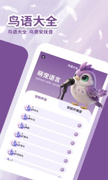 小鸟排排坐红包版app最新版本 v1.3 安卓版 3