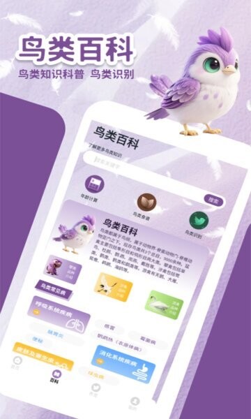 小鸟排排坐红包版app最新版本 v1.3 安卓版 2