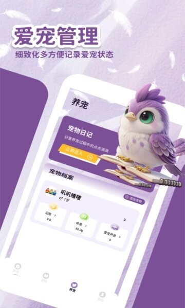 小鸟排排坐红包版app最新版本 v1.3 安卓版 1