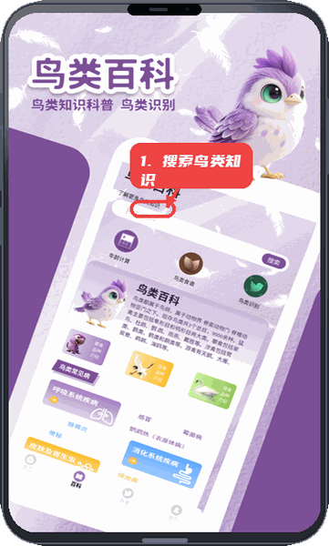 小鸟排排坐教程图:第二步,搜索鸟类百科知识。 搜索鸟类百科知识。